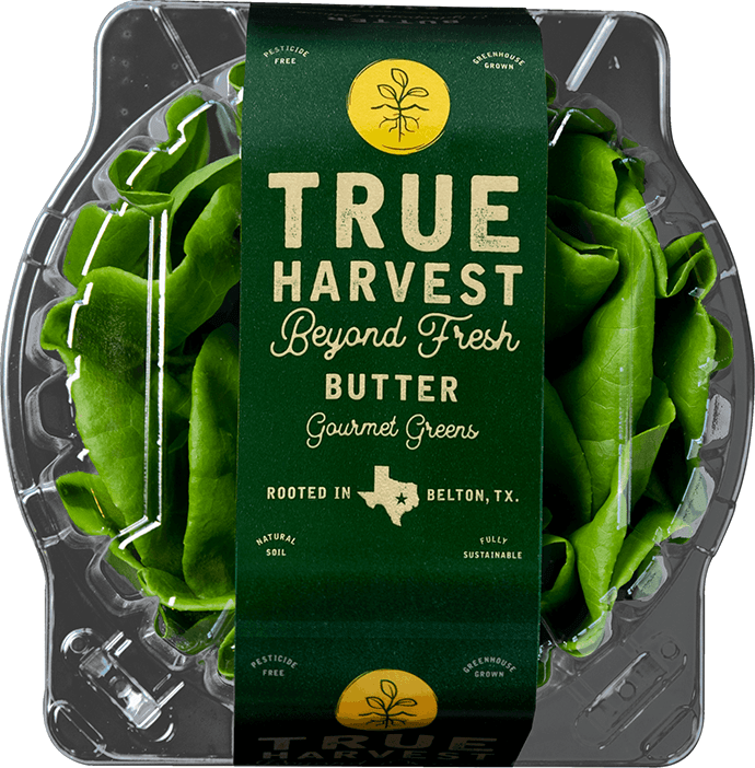 TrueHarvest Farms hydroponic butterhead lettuce clamshell